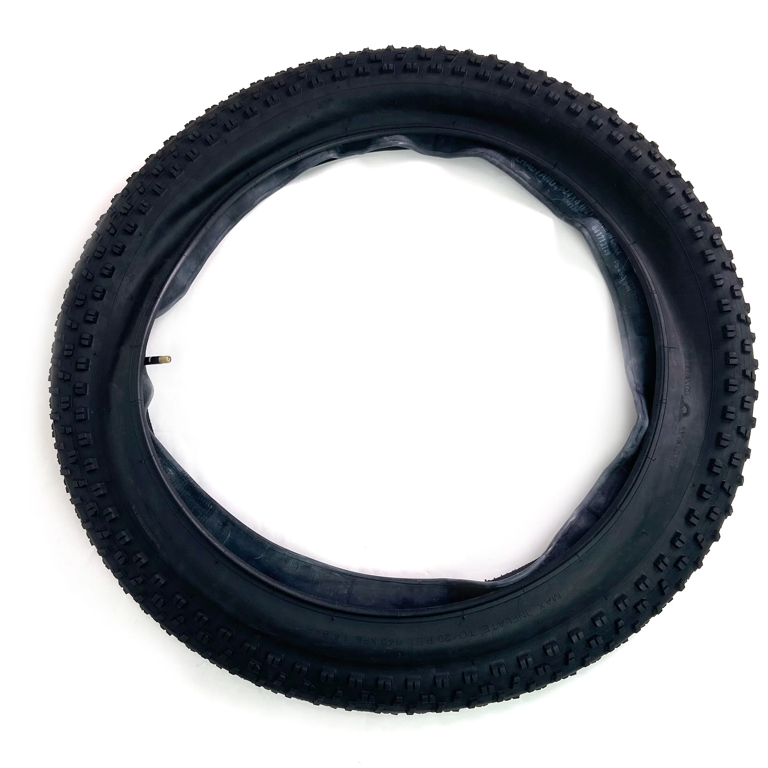 OUTER TIRE FOR COSWHEEL EBIKE - Image 28